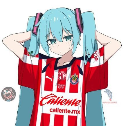 juanvgzzz's profile picture. Amante de las Chivas, los videojuegos y las monas chinas