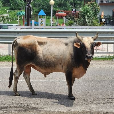 thematthew26's profile picture. Very imperfect, Christian. I need to work on that.