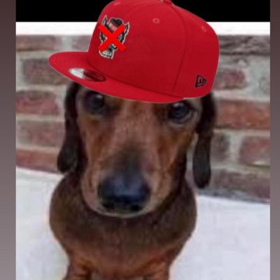 DogWades's profile picture. delusional nc state and cowboys fan/bag taker