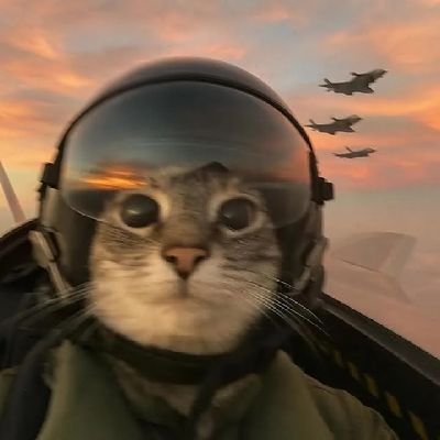 Alikashooni's profile picture. سطلی/اصلاحاتی چخه