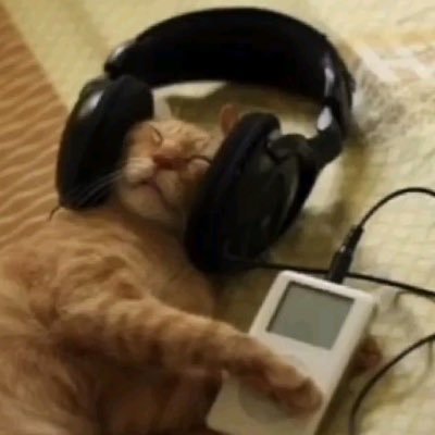 digoencanciones's profile picture. mientras caemos hay música