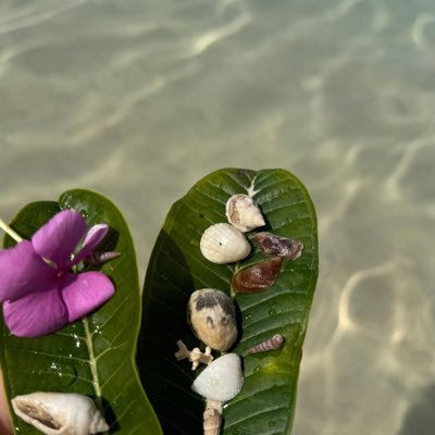 SHEERMAN_AB's profile picture. Phlebotomists💉