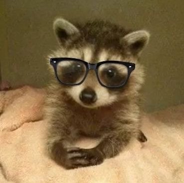 NNoong_ffxiv's profile picture. 성인 여성 / 7.3 完 / 언팔되어있으면 오류 / 용무는 디엠으로 / 블락 프로그램 안써서 수시로 차단하신분 보이면 맞차단합니다 / 귀칼 보이면 블락