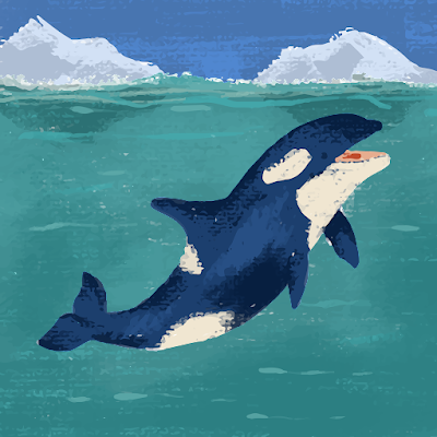 AnM1772997's profile picture. 