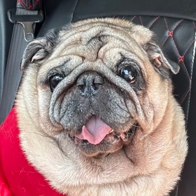 Khunchay42's profile picture. คุนชาย