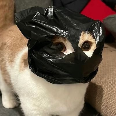 Alca1_'s profile picture. 