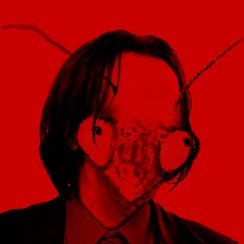 MantisEatUrFace's profile picture. maybe game dev out of desperation