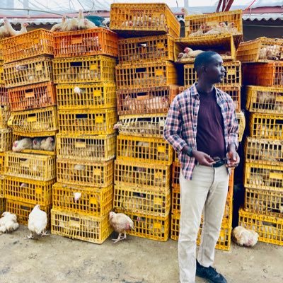 the_olorunwa's profile picture. /CFC/ Team Mourinho/ Sales Executive/Farm input supplier/Consultant