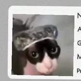 CruzaObedf26's profile picture. Hola