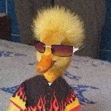 edivuod's profile picture. NORMALIZE JOYBAIT
🇫🇷🇷🇴