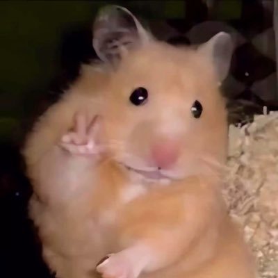 vennlaaa's profile picture. 