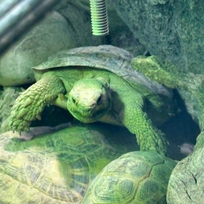 aidagamemaki's profile picture. 765箱推し。ゆっくりと、まったりと。