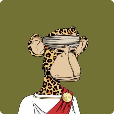 maccyxhitzz's profile picture. Building tools for the decentralized creator economy.