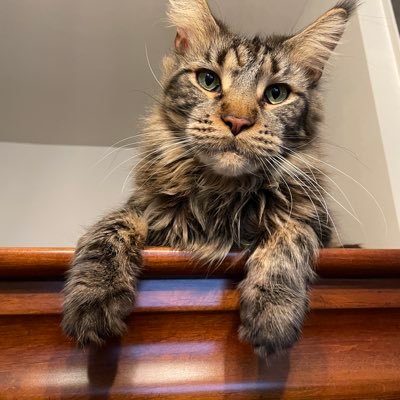 intelhistory's profile picture. Historian https://t.co/Zv5dyzu8vC Biography of Major Ronald Sinclair (1889-1988) in the works.