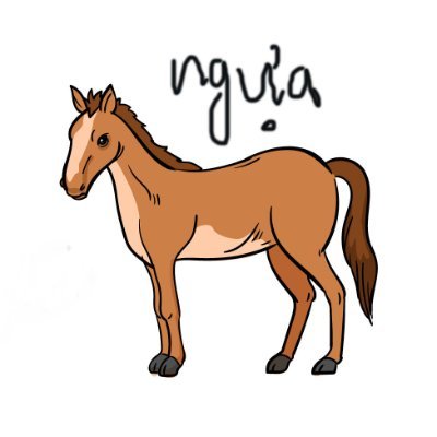 NLED57512981's profile picture. I am a crypto lover!