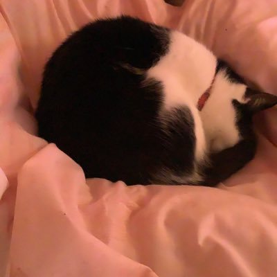 AltistDream's profile picture. this is my private account, no NSFW content,  DNI: dteam, Wilbur soot stans. ANTI GENERATIVE AI!