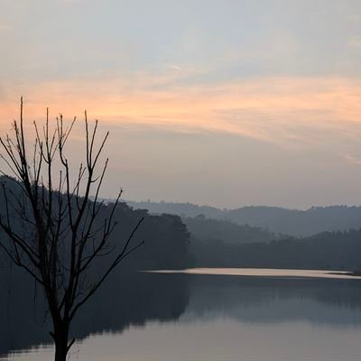 walk_blr's profile picture. Walking and bringing visibility.

Doing my bit in making blr more walkable.