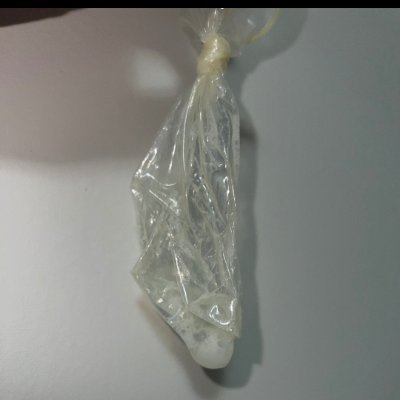 samy08745's profile picture. 