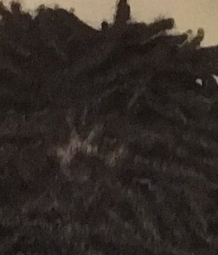 JohnLosae's profile picture. 