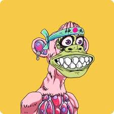 TopDawgzNFT's profile picture. 