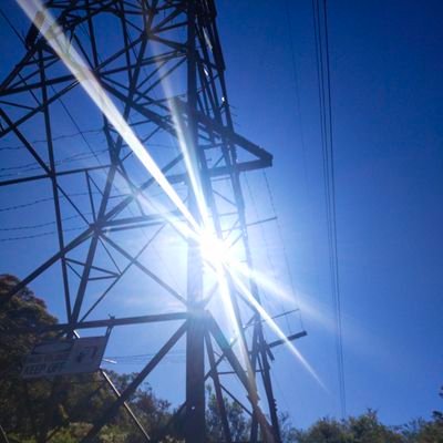 tulgywoodsara's profile picture. 🤸🧍🧘🧚
🌨⛈🌩🌧☁🌦🌥⛅🌤☀