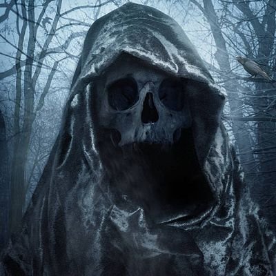 _Mictecacihuatl's profile picture. I am the hush before oblivion, where mortal pulses drown,
The god of death unbound, who comes to lay your daylight down.