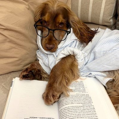 books80s's profile picture. ༒ make emo great again • vôleifã 🏐 doutoranda e neurocientista 🧠