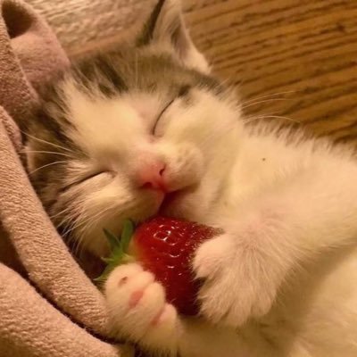 irIsanzu's profile picture. 