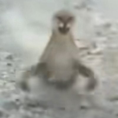 phemisna's profile picture. si hoy llevo la ropa fake es porque soy la mas real 🤭