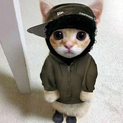 SerpentixCS's profile picture. 