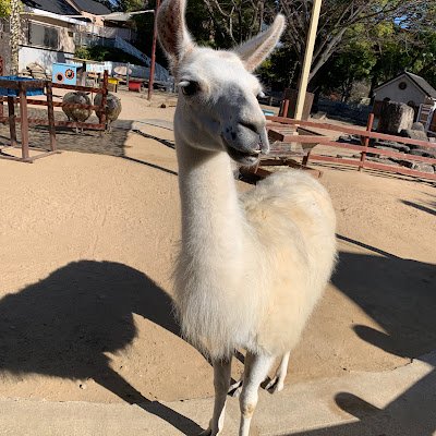 X1n5tOCFeG60024's profile picture. 