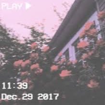 shelovebb's profile picture. 1 of 1, father, cod, madi, local 669 sprinklerfitters