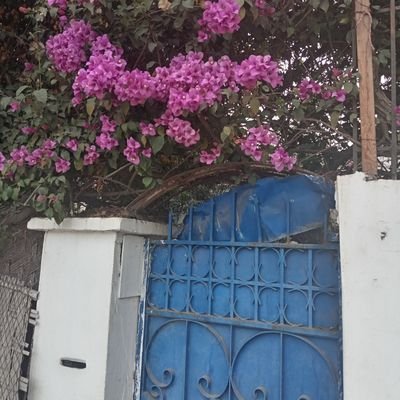 Maria__iam's profile picture. 