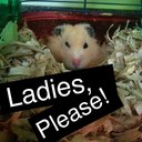 Chestnut Charles - @ChestnutCharles - Twitter