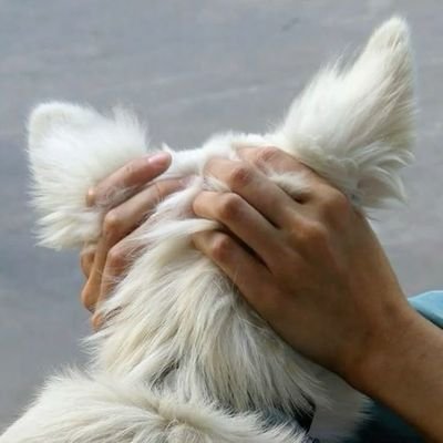 erikitafjfhdjfj's profile picture. 