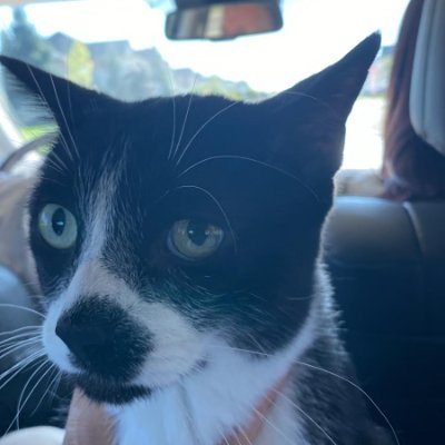 Miko1777189's profile picture. 