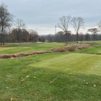 ZG (@zgiffen80) 's Twitter Profile