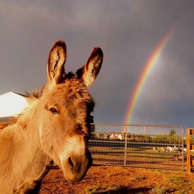 parkinglotz's profile picture. 24. any pronouns. international superstar. drag worshipper.