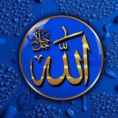 ibrahimlotfy15's profile picture. 