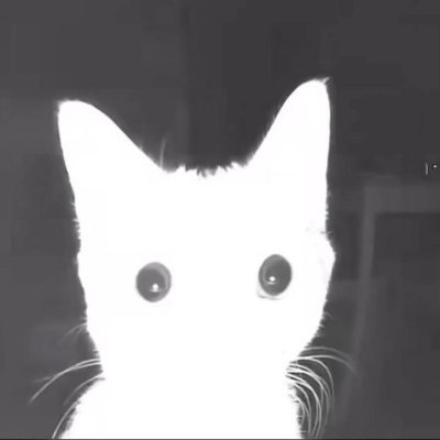 PadrizAf's profile picture. Olha de mais para o espelho, sinifica ficar preso a algo momentaneo?

#BTC