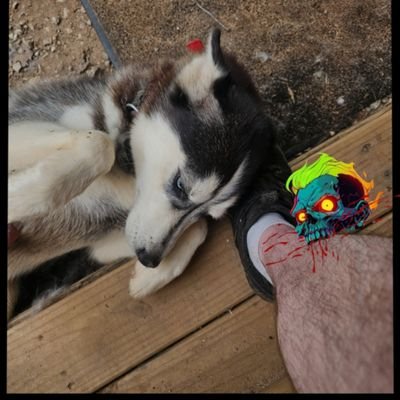 Cewmustang's profile picture. 