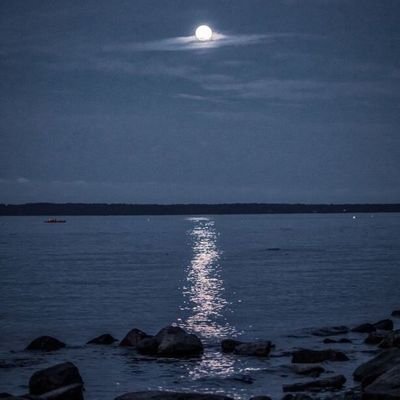 Hany2050000's profile picture. مهتم بكل ما هو جديد ومميز ،مصر أولا والي ما لا نهاية 🇪🇬🙏