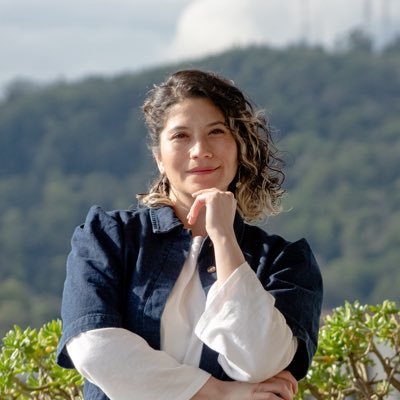 ericka_nanco's profile picture. 🏛️ Primera mujer mapuche diputada de La Araucanía. 🌎 Presidenta Comisión Relaciones Exteriores 2025. 💚💜Feminista. Mi gato se llama Zapatillas 💕🐈🐈‍⬛🐱