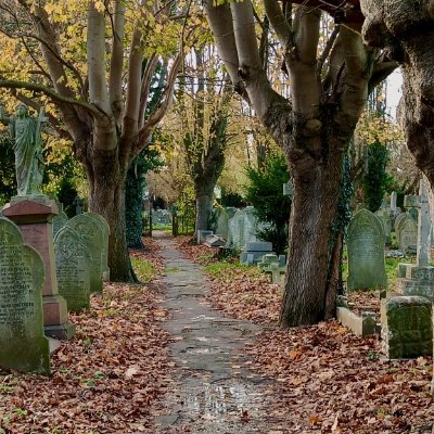 limited_govt1's profile picture. Bureaucracy reduction
British DOGE
New Nuclear Energy
Reduce UN & Aid contributions
Reduce Defence spending
Eliminate Nuclear Forces