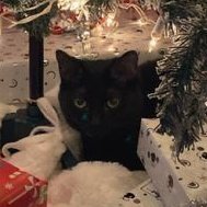 keeahfps's profile picture. FPS content stuff... I like aim