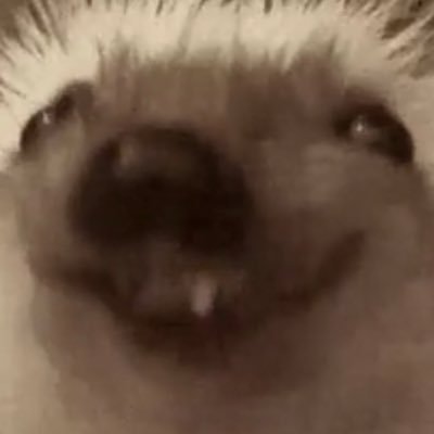 BearTradeRUs's profile picture. I don’t wear plastic pearls.