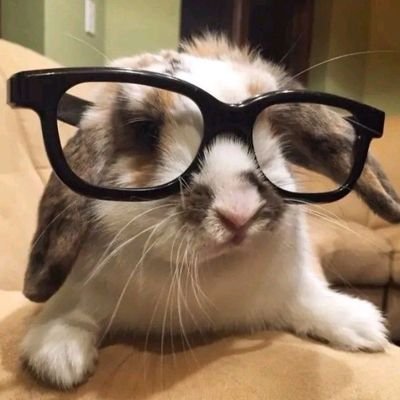 caribbeangoldie's profile picture. Parce mihi Domine, nihil enim sunt dies mei
| sea lover 🩵 | 'en tus manos: mi alma y mi cuerpo' | V. Fulton Sheen, pray for us! 🌹🇻🇦 ☃️