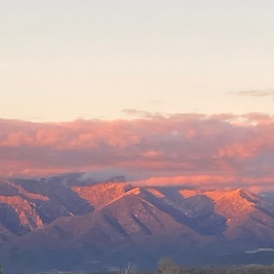 cath_land's profile picture. 🤲 ; @panacea_rip