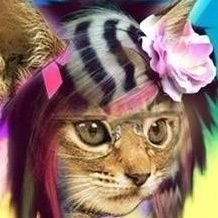 breakinglenn's profile picture. VIC FUENTES LE REGALARA UNA ENTRADA PARA EL 12/12 A HYDROINA.