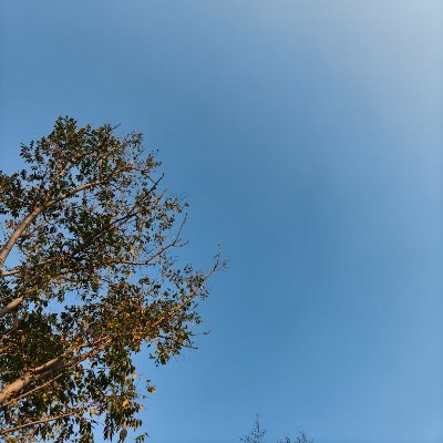 FZhou52427's profile picture. We’re Huizhou Telon projection screen, a 25-year-old projection screen factory in China.
#projectionscreen #homecinema #factoryprice